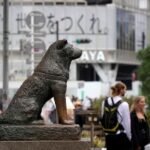 ansia da separazione - Akita okyo