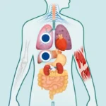 Parassiti negli esser umani