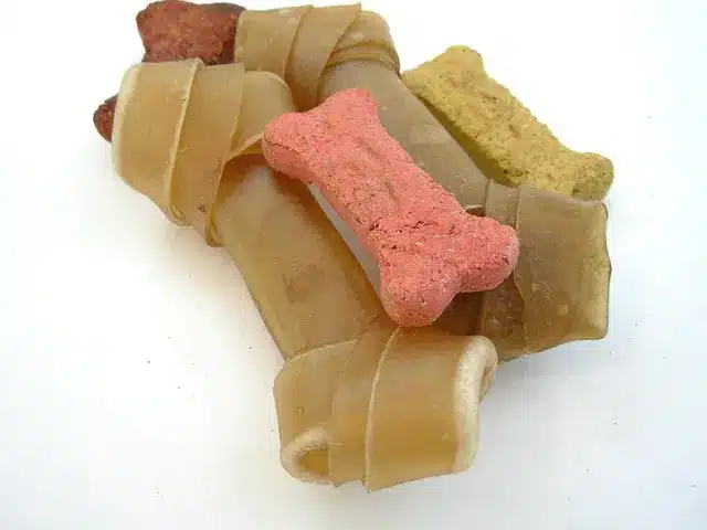 Alimenti per cani