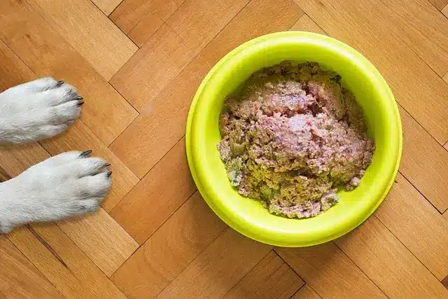 🥕 Alimenti Naturali per Cani: Cosa Mettere Davvero nella Ciotola alimenti naturali per cani
