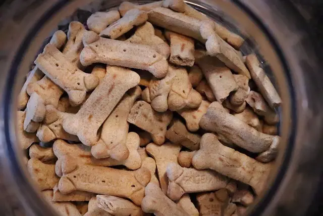 🥕 Alimenti Naturali per Cani: Cosa Mettere Davvero nella Ciotola alimenti naturali per cani