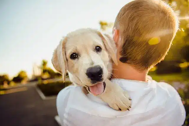 immagine di un cucciolo di golden retriever in braccio