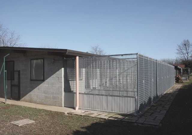 🏠 Marche - Pensioni per cani - Dog hotel - Sistemazioni per animali domestici pensioni per cani, alberghi par animali domestici