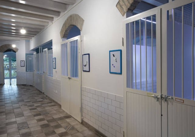 🏠 Marche - Pensioni per cani - Dog hotel - Sistemazioni per animali domestici pensioni per cani, alberghi par animali domestici