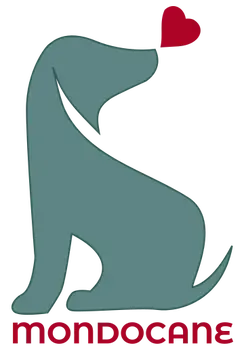 Cremazioni e sepolture per cani a Amico Mio